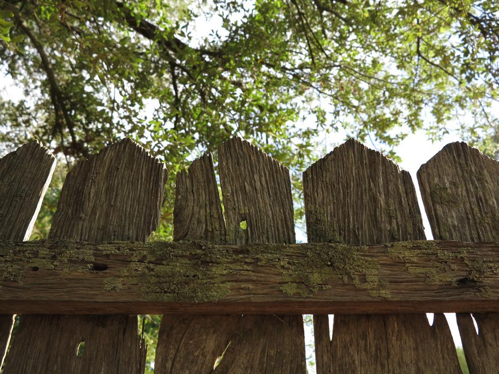 Robin Hoods Well Farm Stay Sassafras Exterior foto